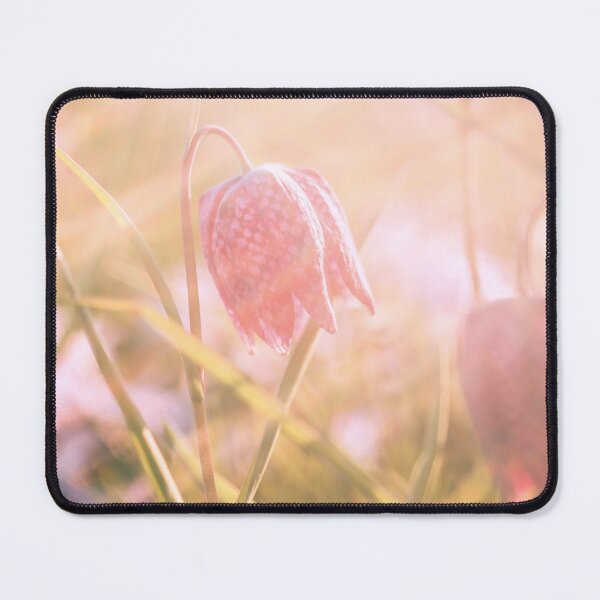 Item preview, Loo0king - A View F2.8 Broken Glass  designed and sold by Carl Gaynor.