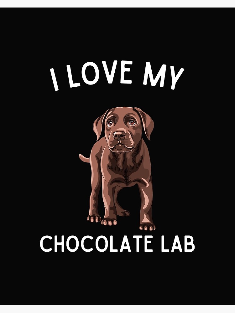 Funny hotsell chocolate lab