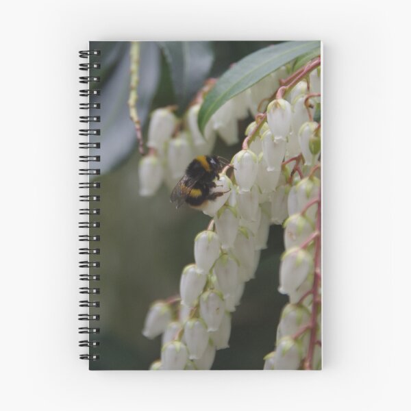 Artikelvorschau, Eine Biene auf Pieris entworfen und verkauft von lezvee.