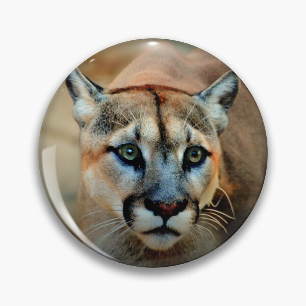 Item preview, Mountain Lion designed and sold by Savannah Gibbs.