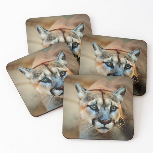 Item preview, Mountain Lion designed and sold by Savannah Gibbs.