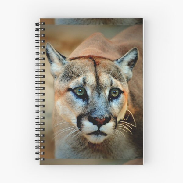 Item preview, Mountain Lion designed and sold by Savannah Gibbs.