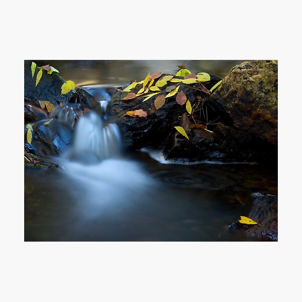 Item preview, Autumn Stream designed and sold by AustralianImagery.