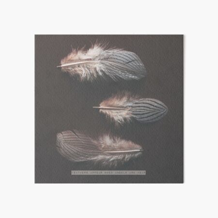 Item preview, les plumes apparaissent quand les anges sont près designed and sold by Ingrid Beddoes Photography.