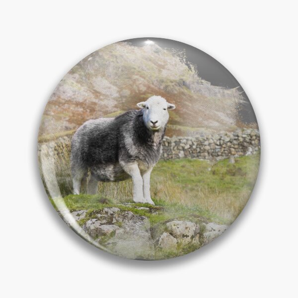 Item preview, Herdwick Sheep Watercolour Photograph designed and sold by Jane Stanley Photography.