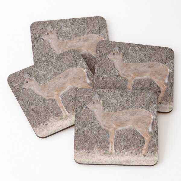 Item preview, White Tailed Deer designed and sold by MelKowasic.