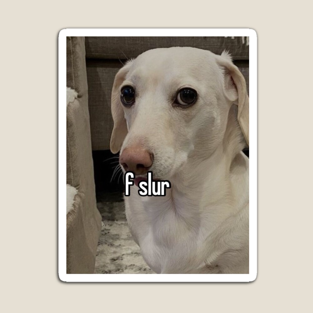 f slur” homophobic dog  Sticker for Sale by spallango7 | Redbubble