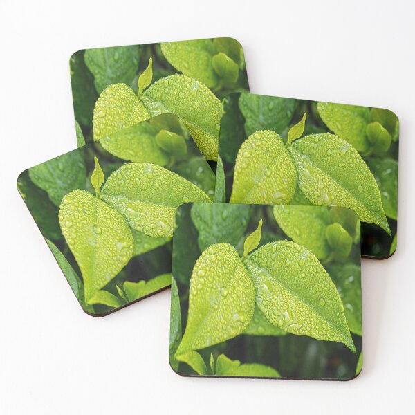 Item preview, beautiful green plant designed and sold by beunique5.