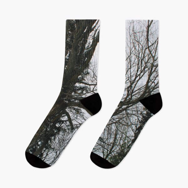 Item preview, October Trees designed and sold by RoseyElisabeth.