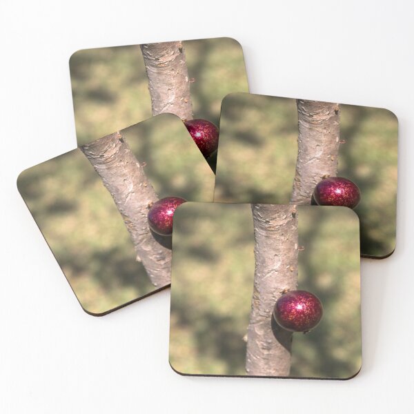Item preview, ripe jabuticaba. designed and sold by Nino rocha fotografia.