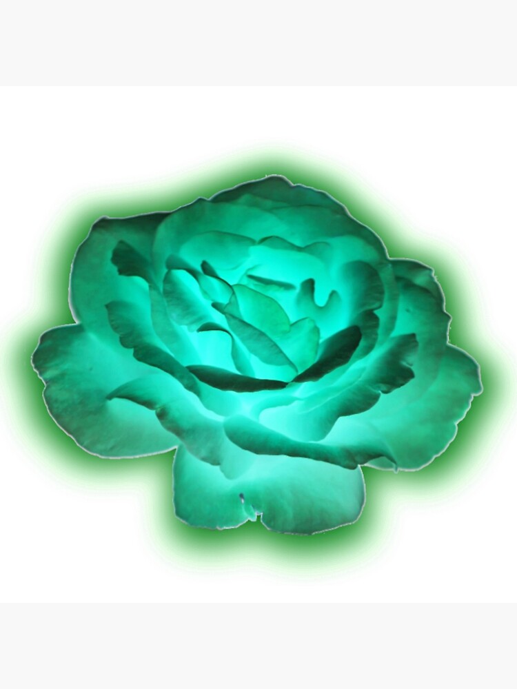 shiny-dark-green-and-light-blue-mixed-rose-flower-floral-art