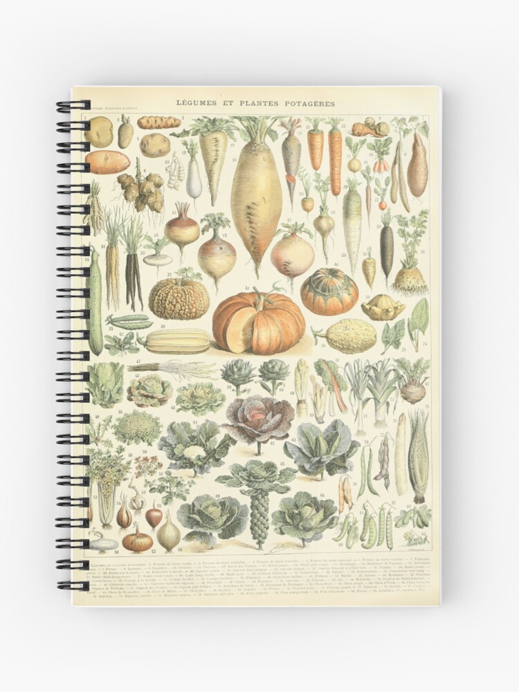 Adolphe Millot - Champignons pour tous - vintage poster Notebook