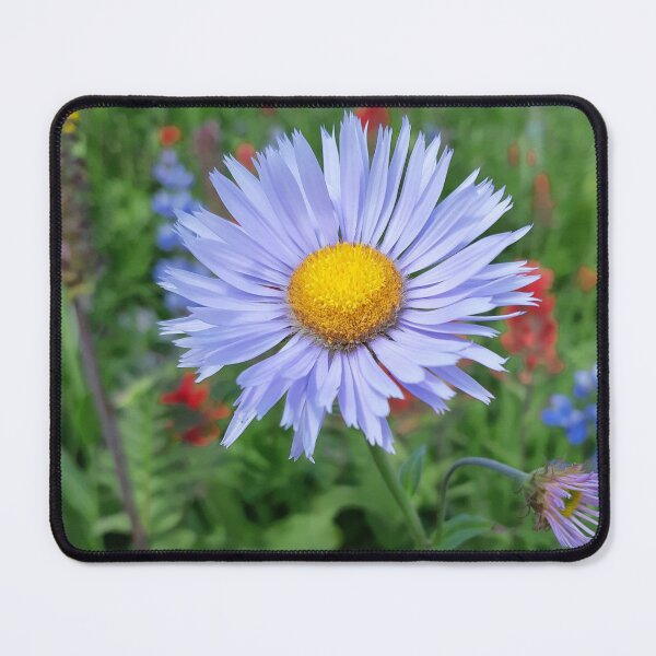 Item preview, Aster In The Meadow designed and sold by northernflicker.