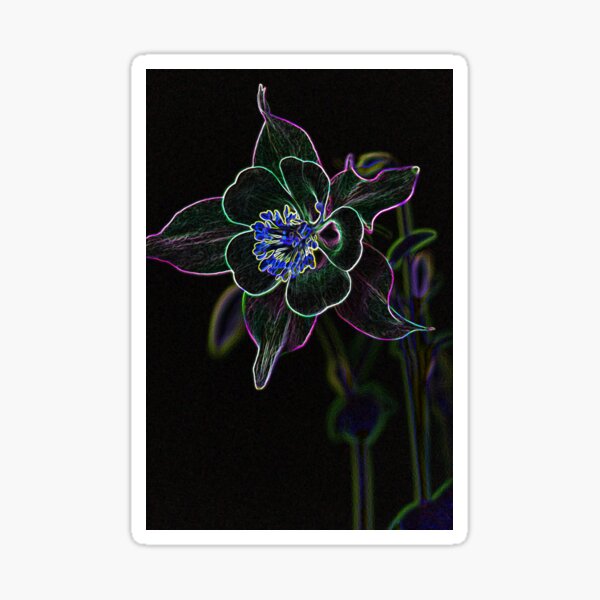 Lavendar Columbine-artistic Sticker