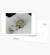 Still playing the flute Postcards