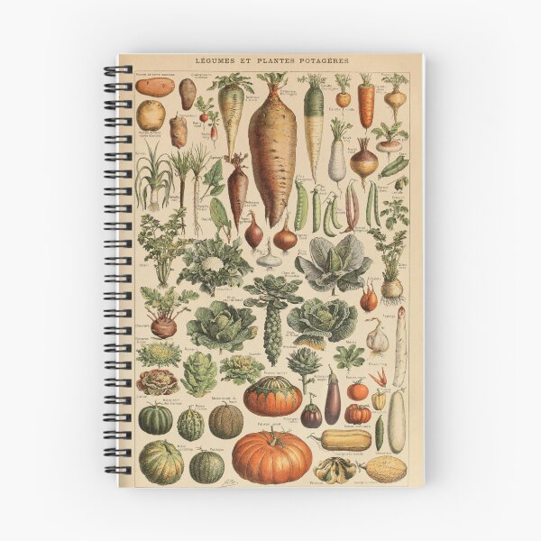 Item preview, Legume Et Plante Potageres Pour Tous - Adolphe Millot designed and sold by starrylite.