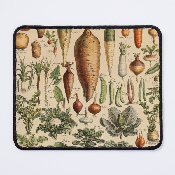 Item preview, Legume Et Plante Potageres Pour Tous - Adolphe Millot designed and sold by starrylite.