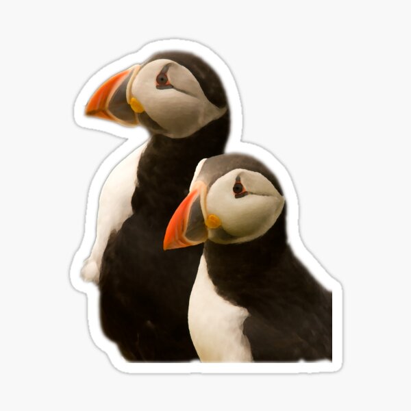 Item preview, Puffins designed and sold by Jon Lees.