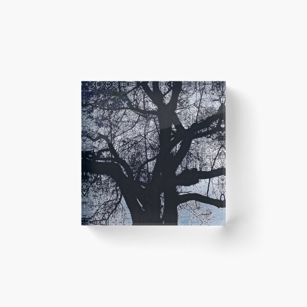 Item preview, Early Spring Bare Tree designed and sold by Anna Lemos.