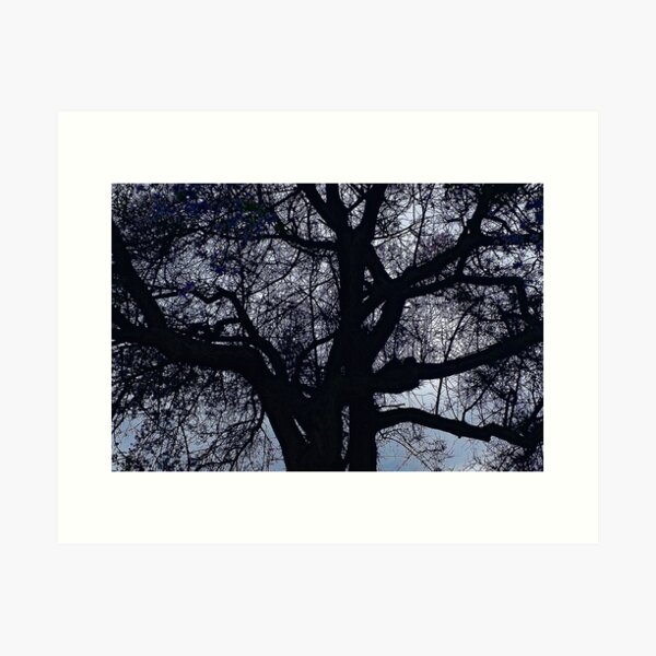 Item preview, Early Spring Bare Tree designed and sold by Anna Lemos.