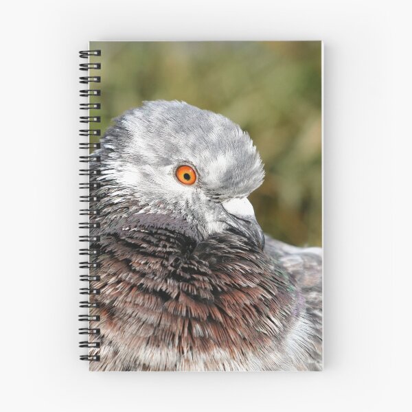 Item preview, Preening pigeon designed and sold by GreyFeatherPhot.