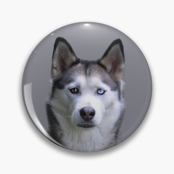 Item preview, Great Siberian Husky designed and sold by RainbowSpinkle.
