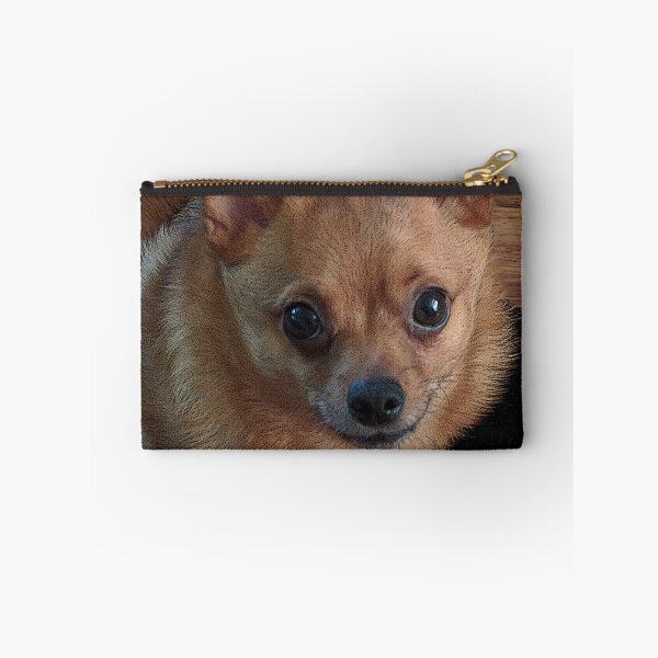 Item preview, Bandit's Sweet Face designed and sold by IrishEyesMrsZ.