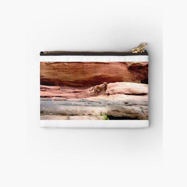 Item preview, Wyatt on the Rocks designed and sold by Fly A Kite Kerr.