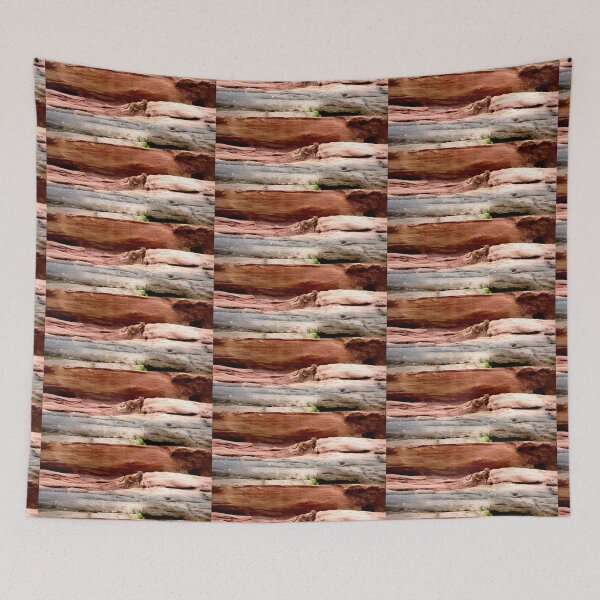 Item preview, Wyatt on the Rocks designed and sold by Fly A Kite Kerr.