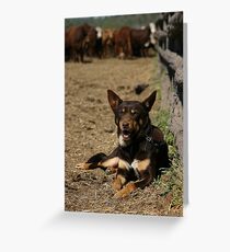 On Guard... Greeting Card