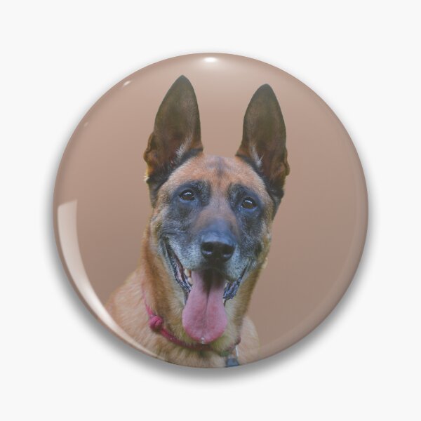 Item preview, Active Belgian Malinois designed and sold by RainbowSpinkle.