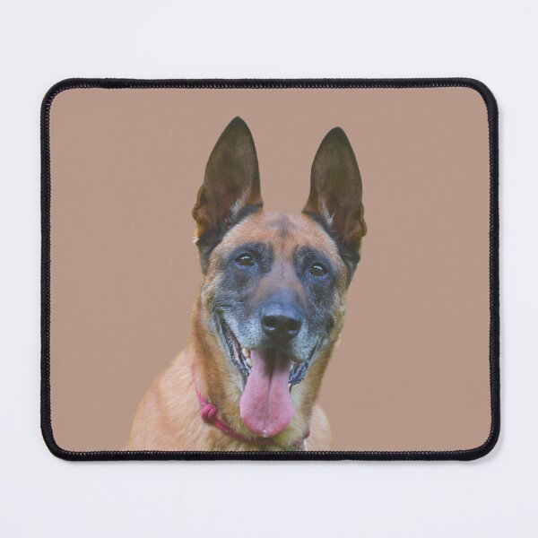 Item preview, Active Belgian Malinois designed and sold by RainbowSpinkle.