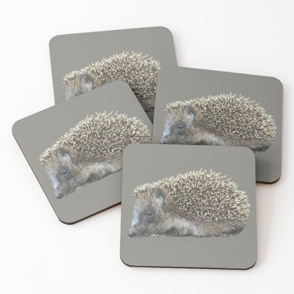 Item preview, Little Hedgehog designed and sold by RainbowSpinkle.