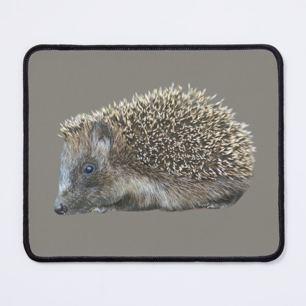 Item preview, Little Hedgehog designed and sold by RainbowSpinkle.