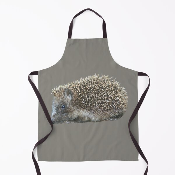 Item preview, Little Hedgehog designed and sold by RainbowSpinkle.