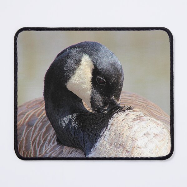 Item preview, BASHFUL GOOSE designed and sold by BOLLA67.