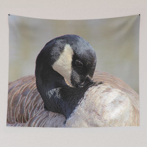 Item preview, BASHFUL GOOSE designed and sold by BOLLA67.