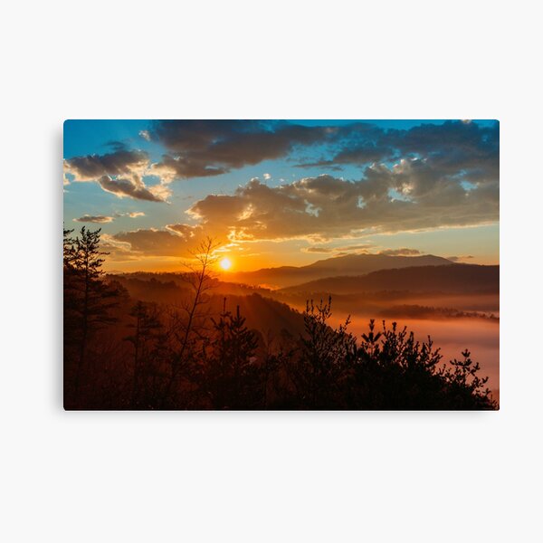 Peaceful Easy Morning Canvas Print