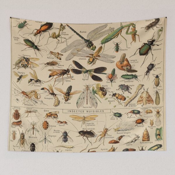 Item preview, Insectes - Adolphe Millot designed and sold by starrylite.