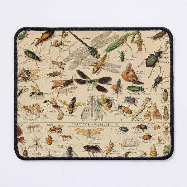 Item preview, Insectes - Adolphe Millot designed and sold by starrylite.