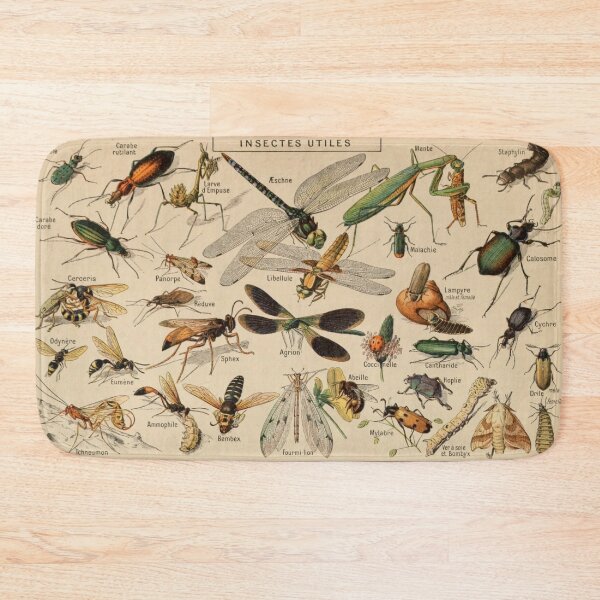 Item preview, Insectes - Adolphe Millot designed and sold by starrylite.