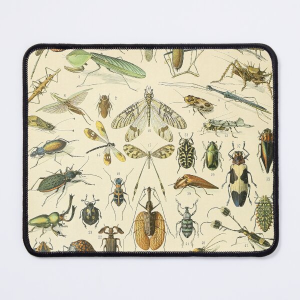 Item preview, Insectes A - Adolphe Millot designed and sold by starrylite.