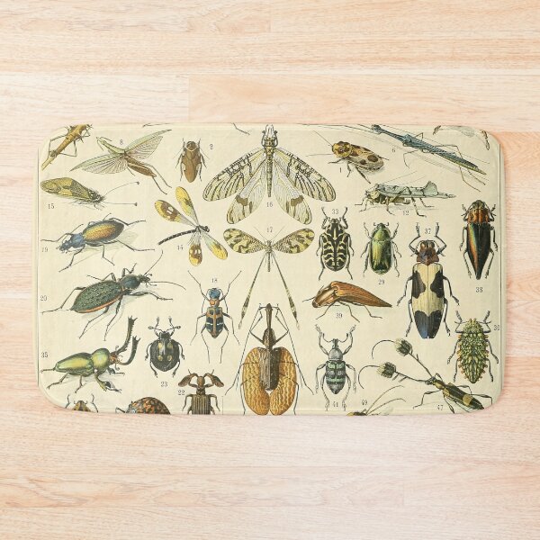 Item preview, Insectes A - Adolphe Millot designed and sold by starrylite.