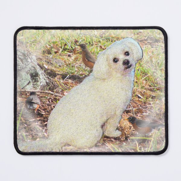 Item preview, Maltese Pup with Robins designed and sold by kristalcurt.