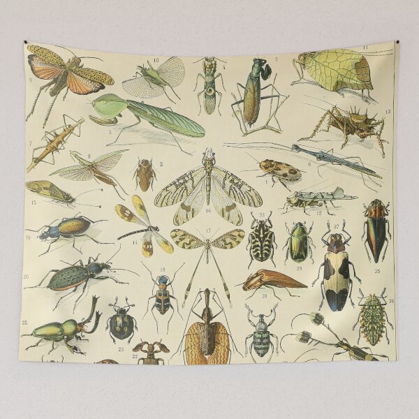 Item preview, Insectes A - Adolphe Millot designed and sold by starrylite.