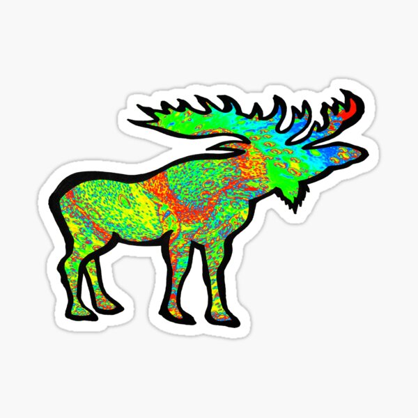 Psychedelic Charm Sticker