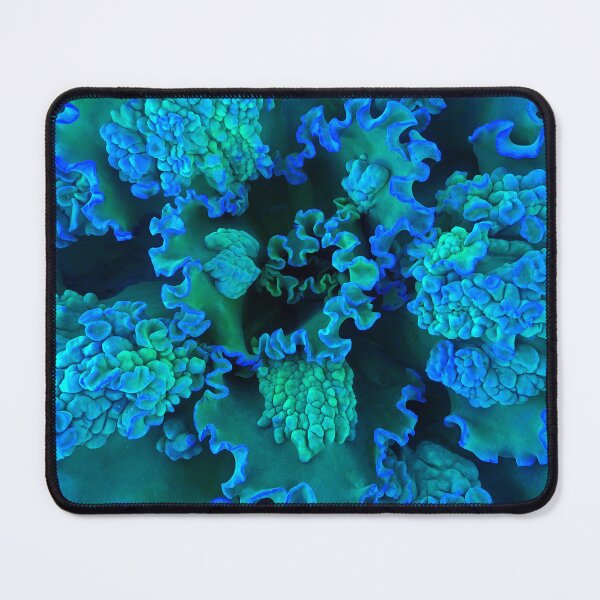 Item preview, Blue-Green crazy dancing succulents by Iritof designed and sold by iritof.