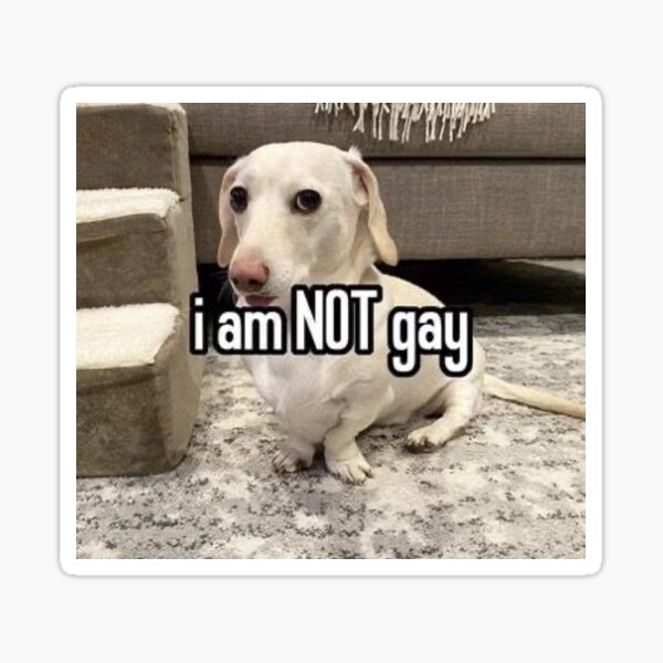 i am NOT gay” homophobic dog " Sticker by spallango7 Redbubble
