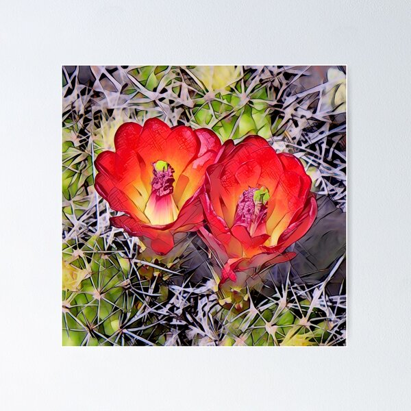 Orange Flower Cacti Wall Art for Sale