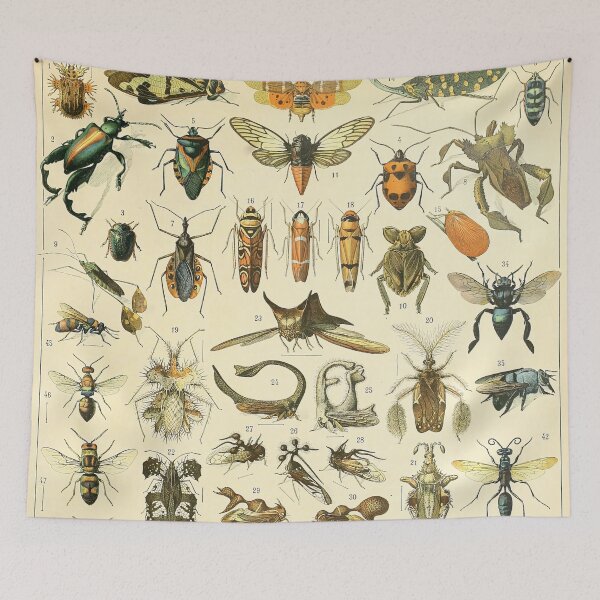 Item preview, Insectes B - Adolphe Millot designed and sold by starrylite.